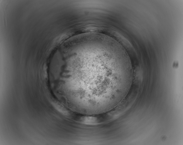 X0000101650361200807101237