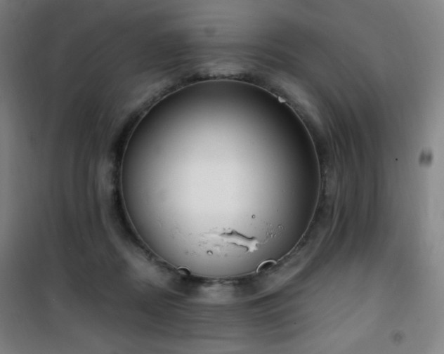 X0000101650362200807101237