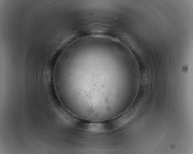 X0000101650363200807101237