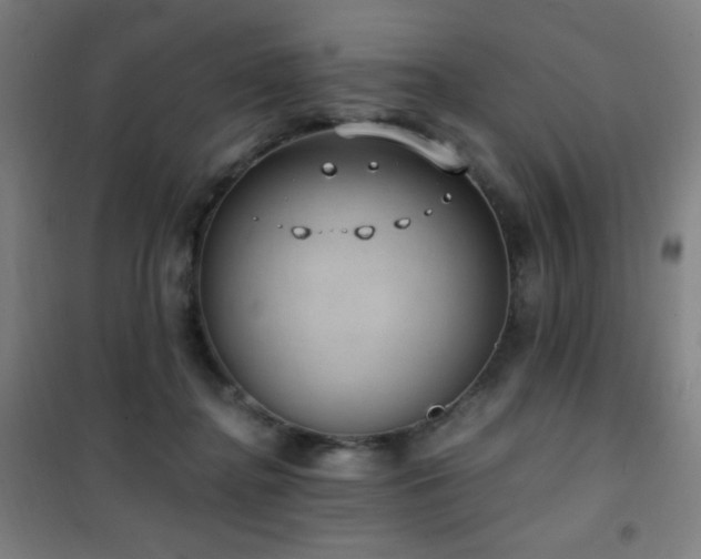 X0000101650364200807101237