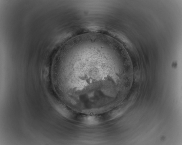 X0000101650365200807101237