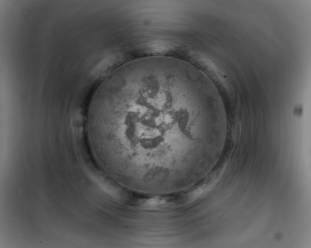 X0000101650366200807101237