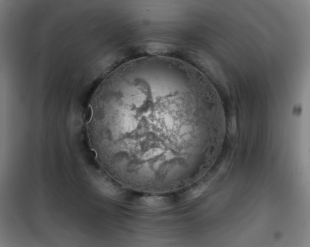 X0000101650367200807101237