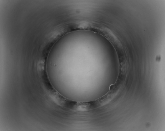 X0000101650368200807101237