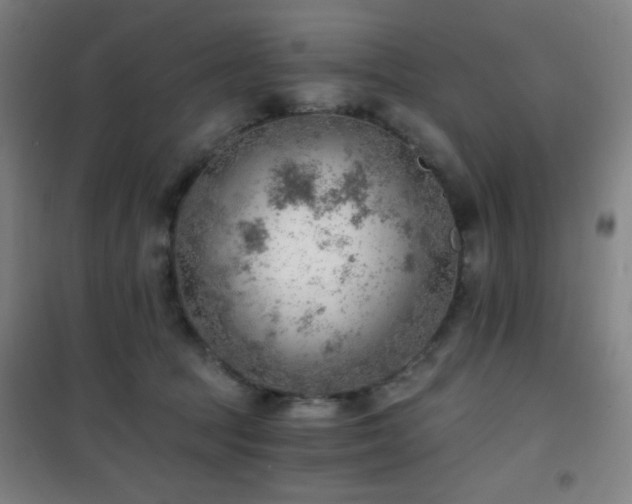 X0000101650369200807101237