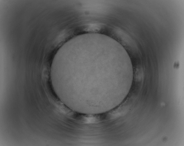 X0000101650370200807101237