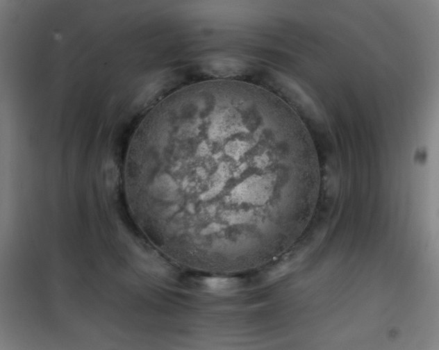 X0000101650371200807101237