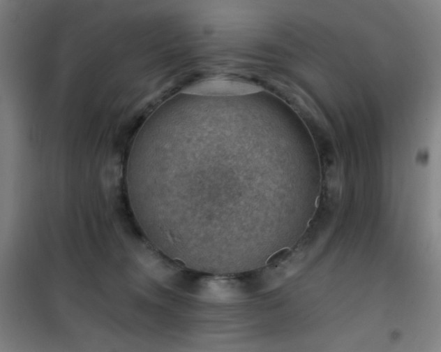 X0000101650372200807101237