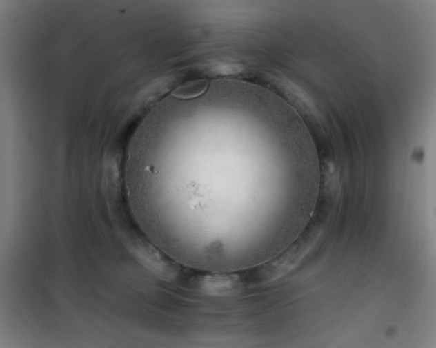 X0000101650373200807101237