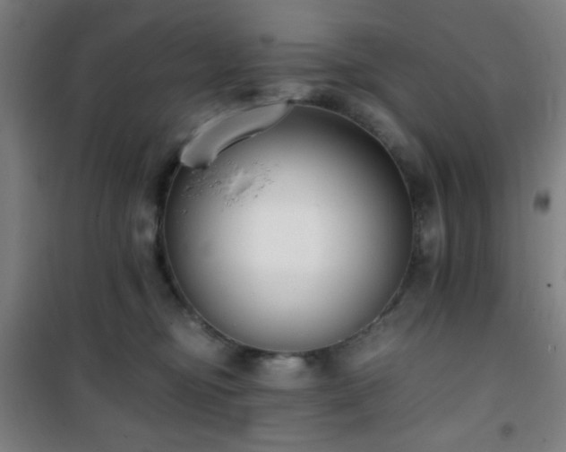 X0000101650374200807101237