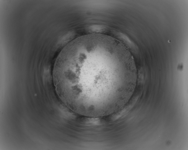 X0000101650377200807101237