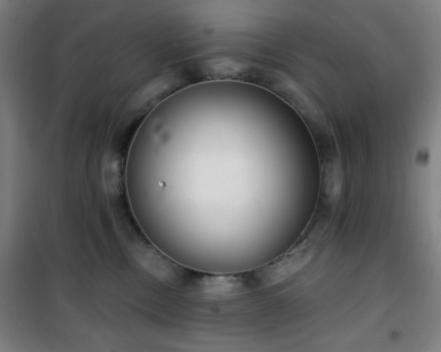 X0000101650378200807101237