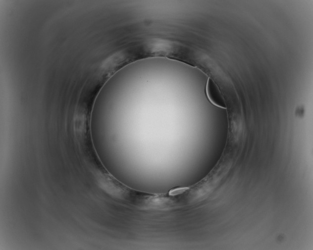 X0000101650379200807101237