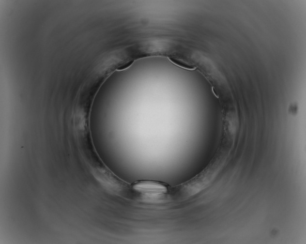 X0000101650380200807101237