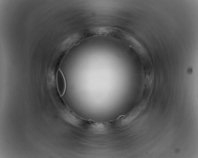 X0000101650381200807101237