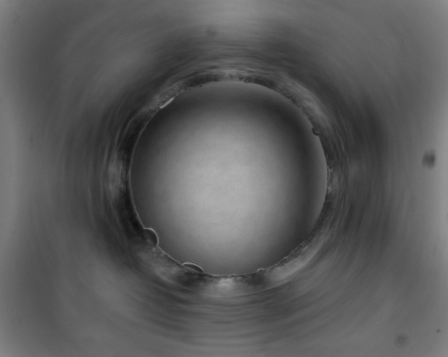 X0000101650382200807101237