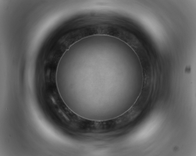 X0000101650383200807101237