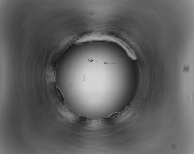 X0000101650384200807101237