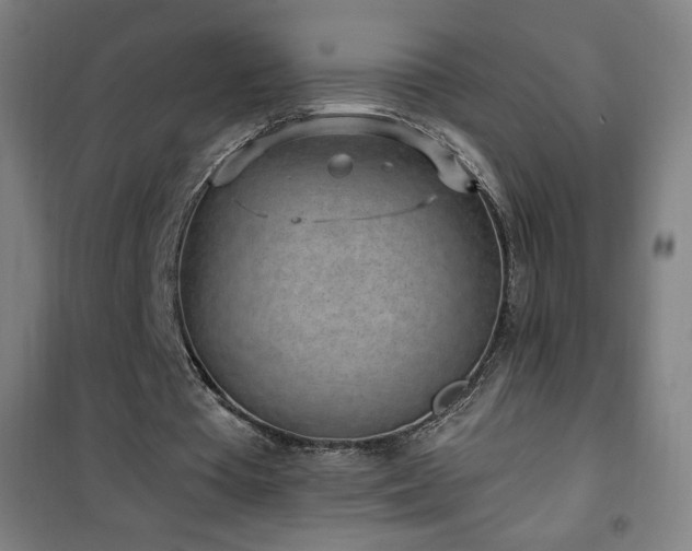 X0000101650385200807101236