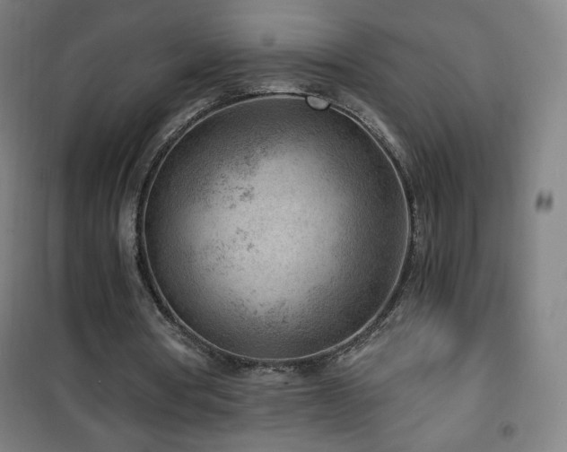 X0000101650386200807101236