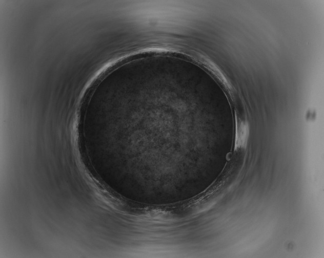 X0000101650387200807101236