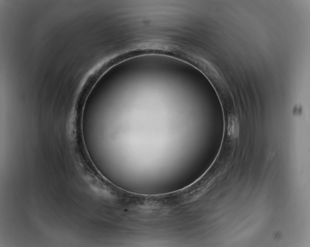 X0000101650388200807101236