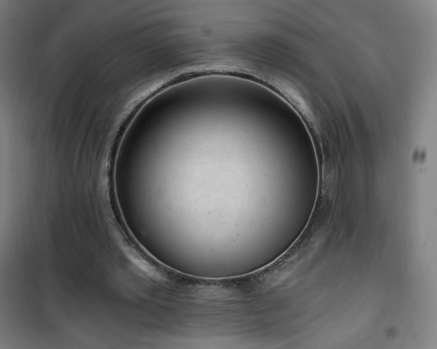 X0000101650389200807101236