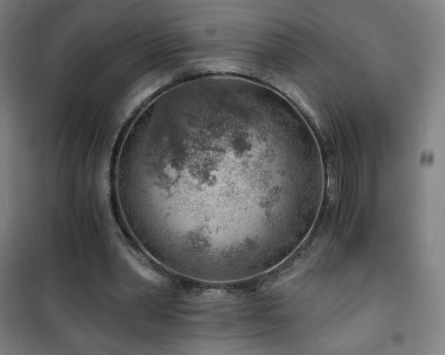 X0000101650390200807101236