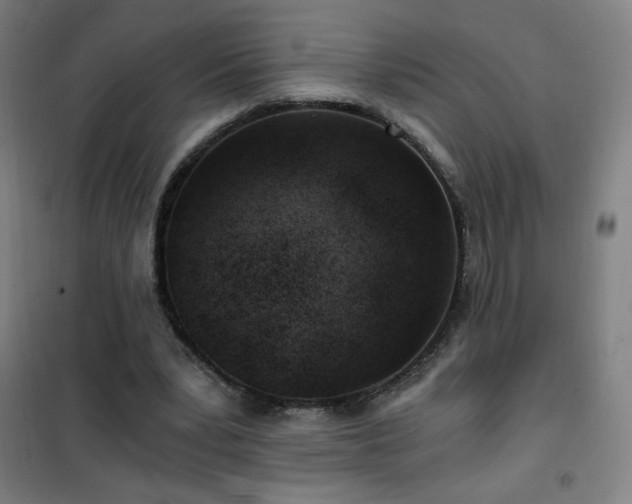 X0000101650391200807101236