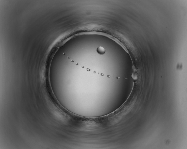 X0000101650392200807101236