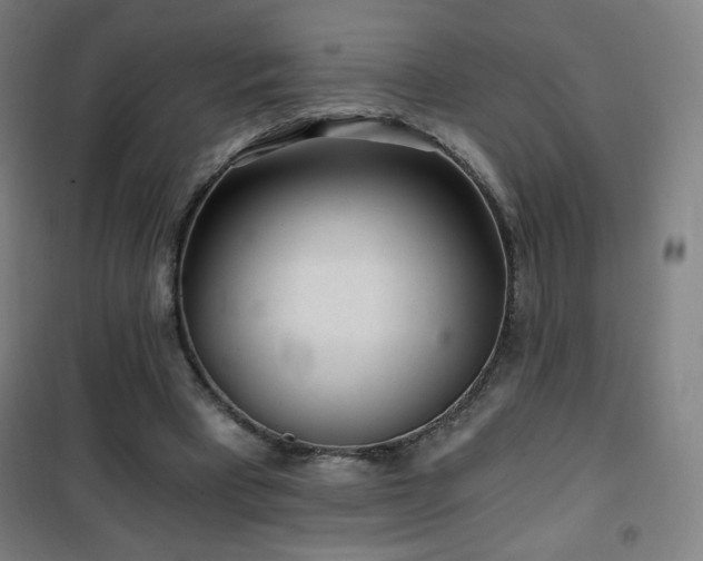 X0000101650393200807101236