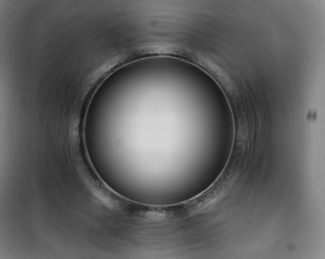 X0000101650394200807101236