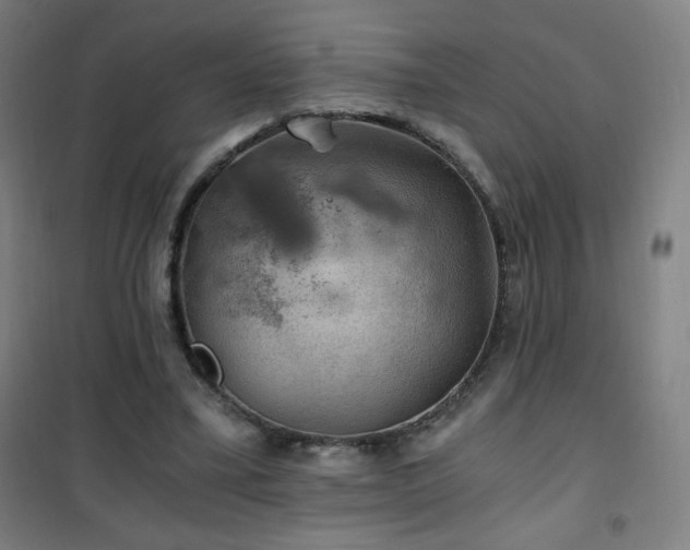 X0000101650395200807101236