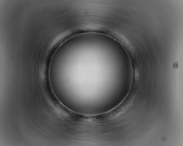 X0000101650396200807101236