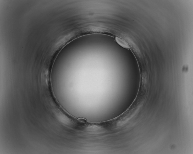 X0000101650397200807101236