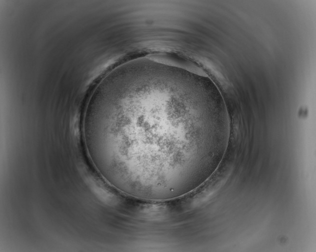 X0000101650398200807101236