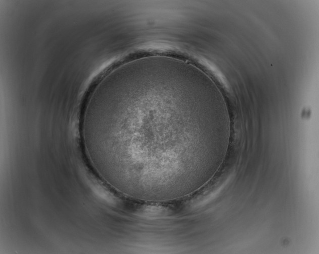 X0000101650399200807101236