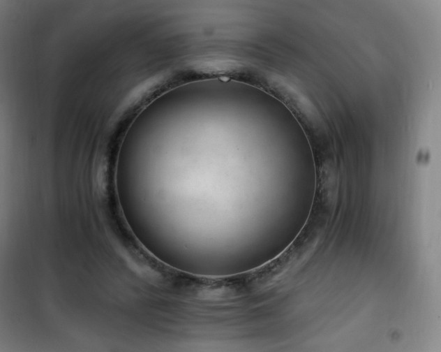 X0000101650400200807101236