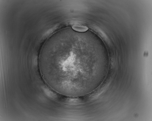 X0000101650401200807101236