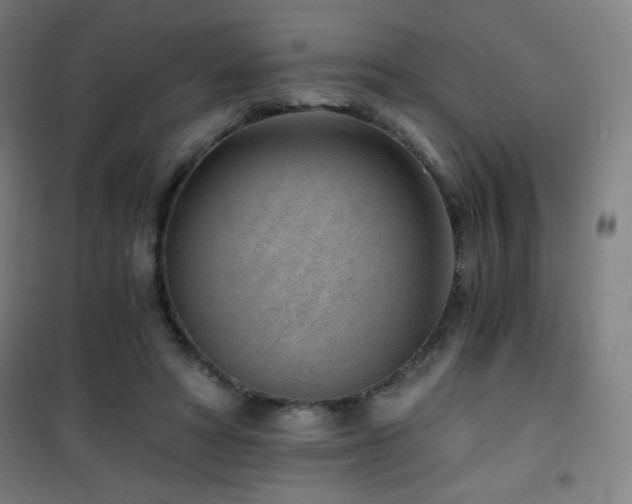 X0000101650402200807101236