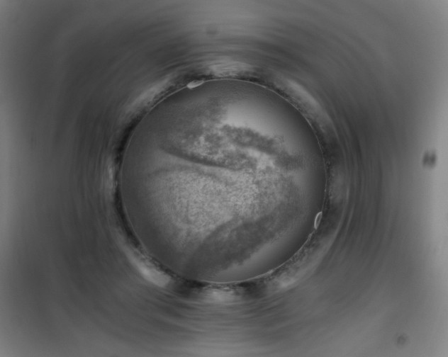 X0000101650405200807101236