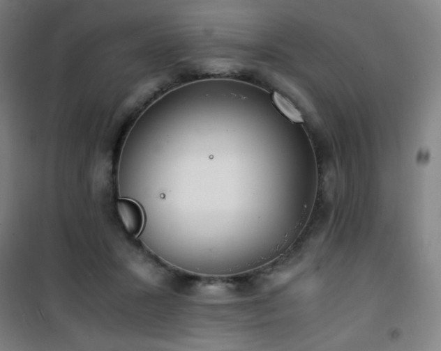 X0000101650407200807101236