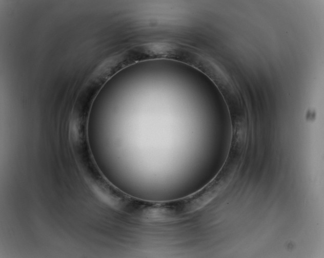 X0000101650408200807101236