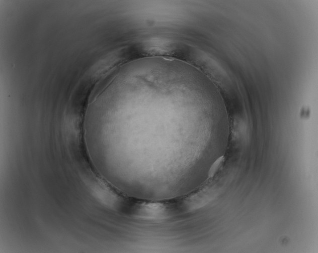 X0000101650409200807101236