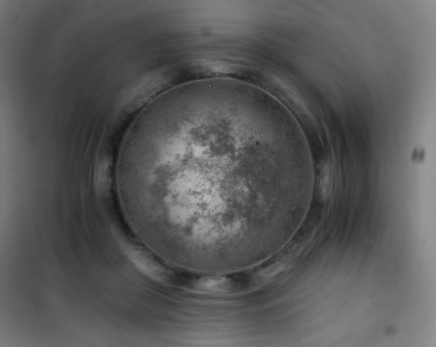 X0000101650410200807101236