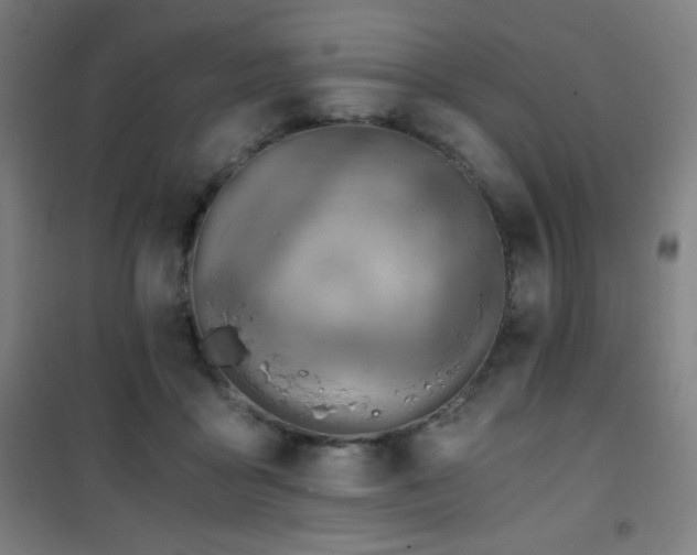 X0000101650411200807101236