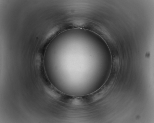 X0000101650412200807101236