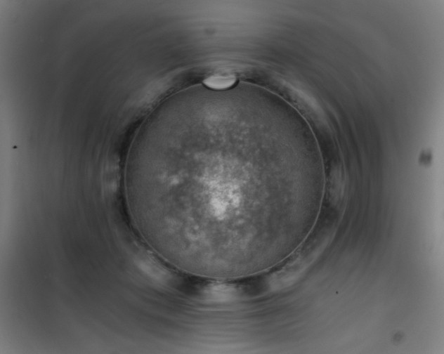 X0000101650413200807101236