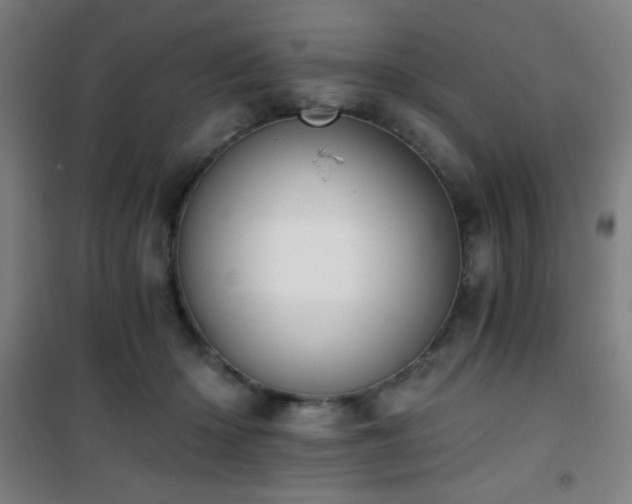 X0000101650414200807101236