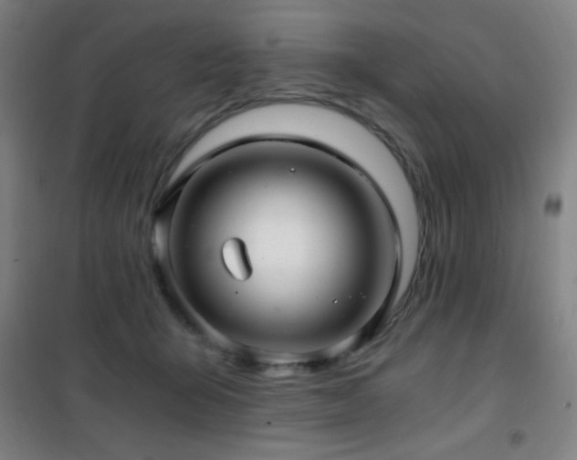 X0000101650415200807101236